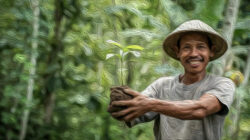 <strong>Missing the Ecosystems for the Trees </strong> Will planting trees get us out of our climate pickle? Not entirely. But it could increase the world's natural drawdown of atmospheric carbon by 25%.
